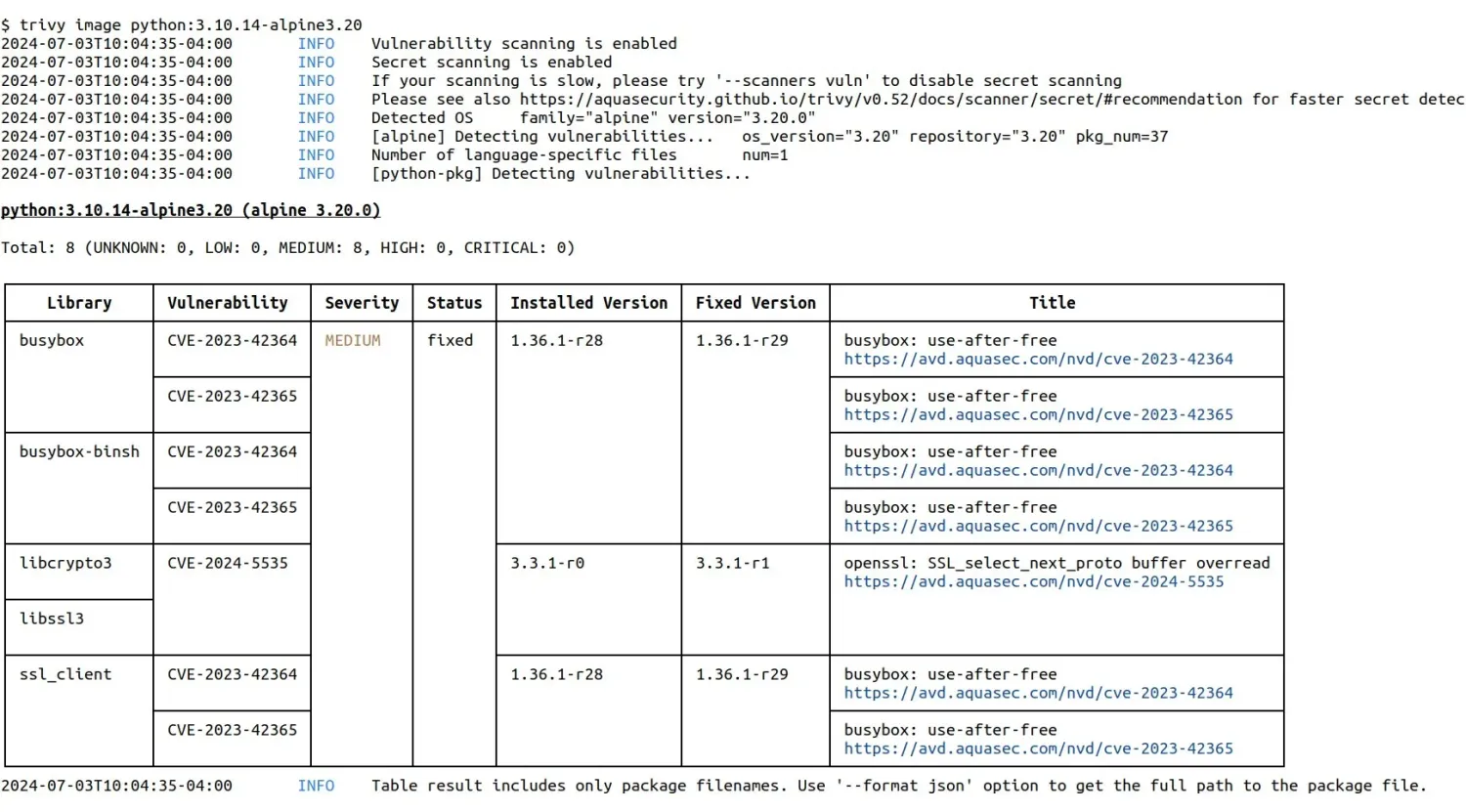 Trivy container image scan output showing CVE table with library names, severity, installed version, fixed version, and vulnerability titles
