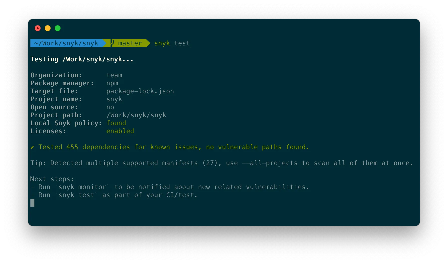 Snyk CLI test output showing dependency scanning results with zero vulnerable paths found across 455 dependencies