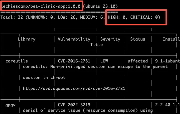 Trivy container image scan showing vulnerability table with CVE IDs, severity levels, and affected packages